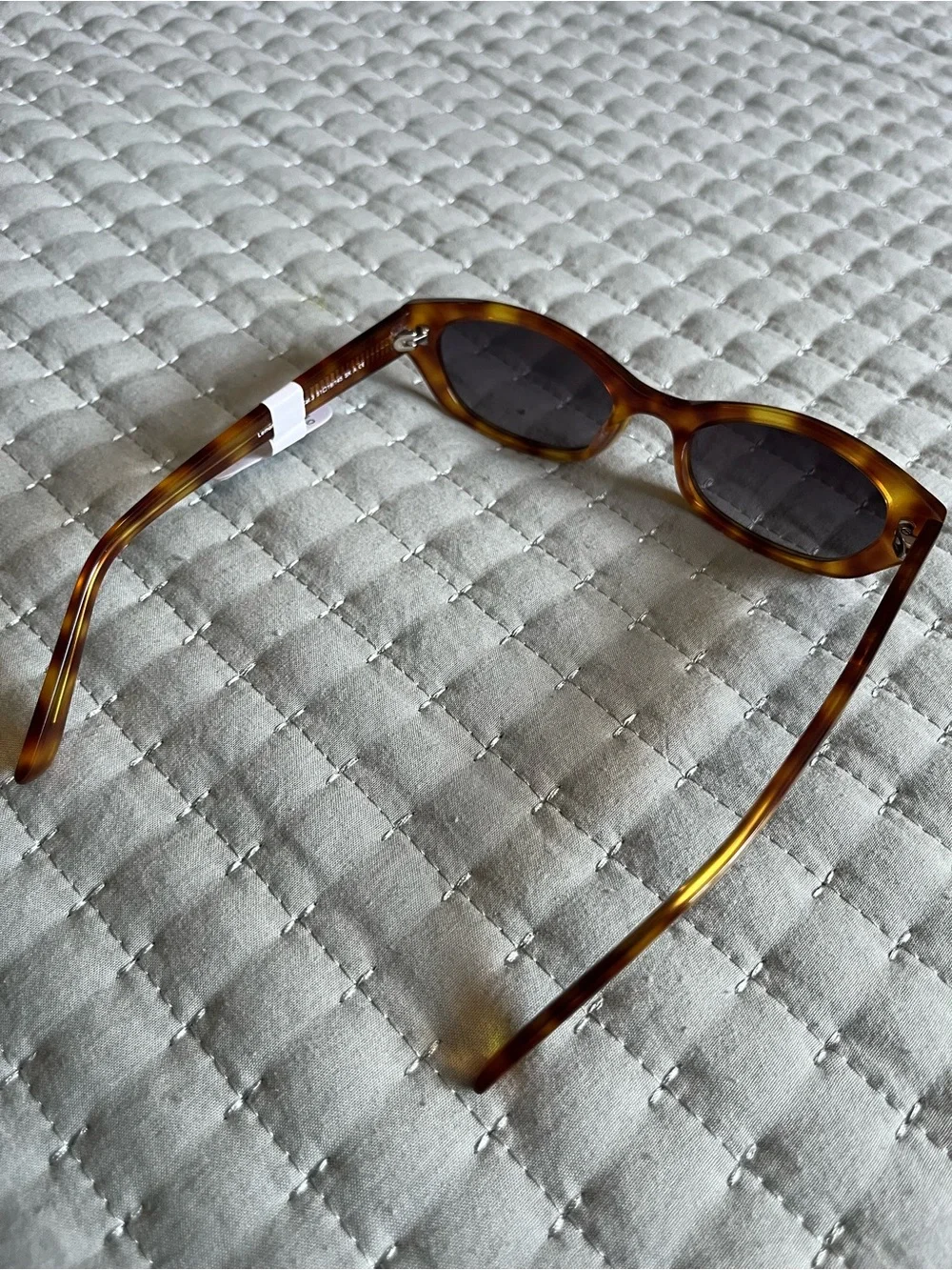 Carolina Lemke Tortoise Sunglasses
